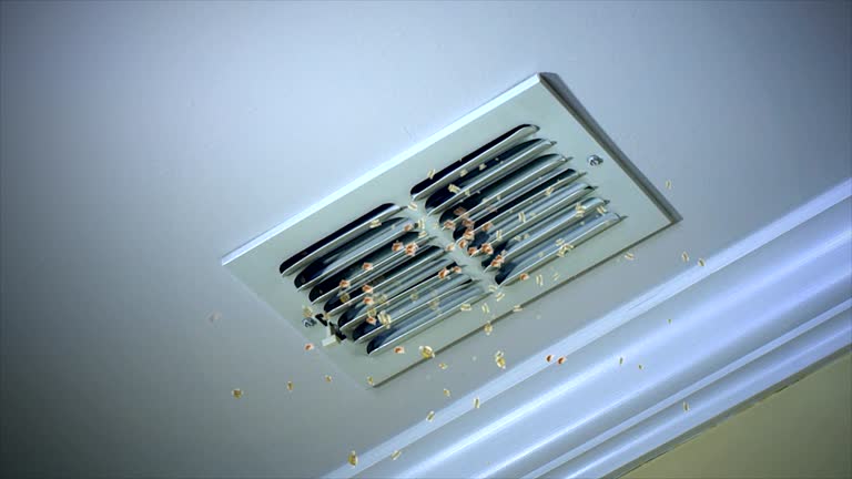 Best Ventilation Cleaning Services  in Montrose, NY