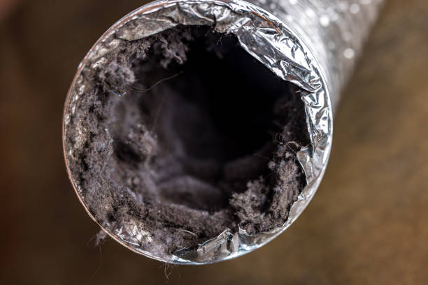 Best Ductwork Cleaning Services  in Montrose, NY