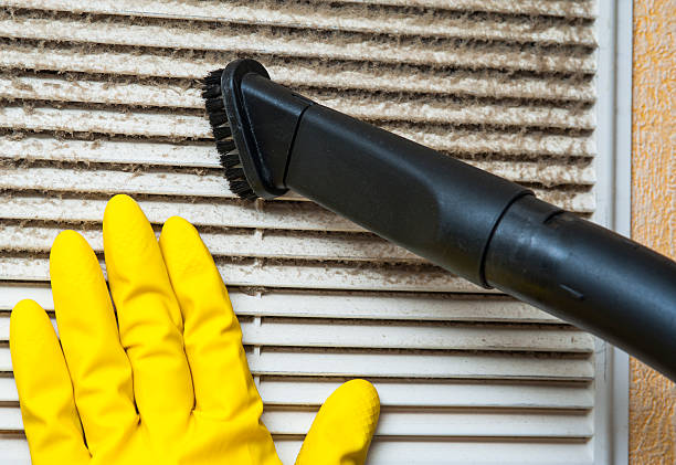Best Professional Duct Cleaning Services  in Montrose, NY